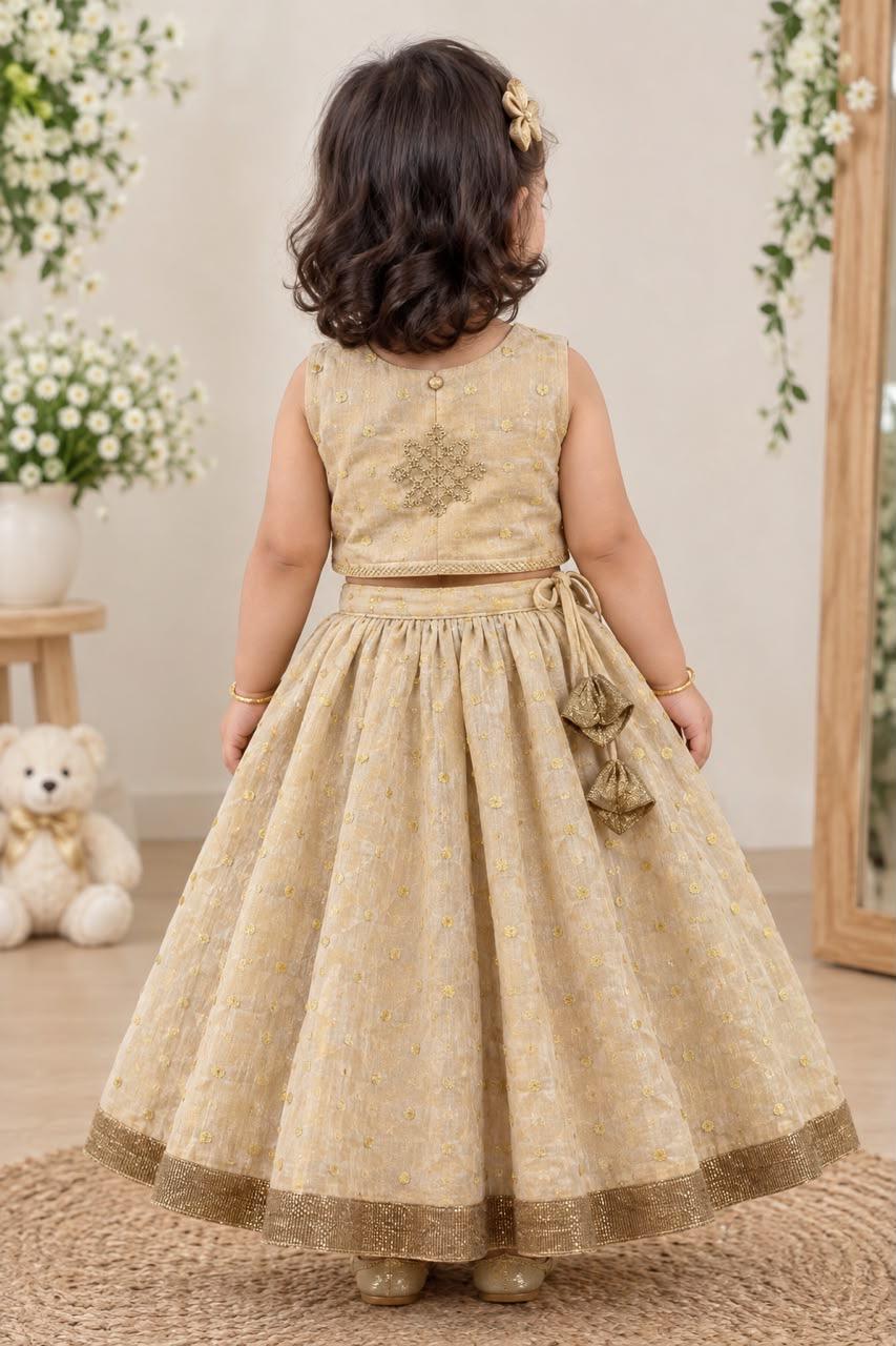 Golden Beige Embroidered Lehanga photo 4