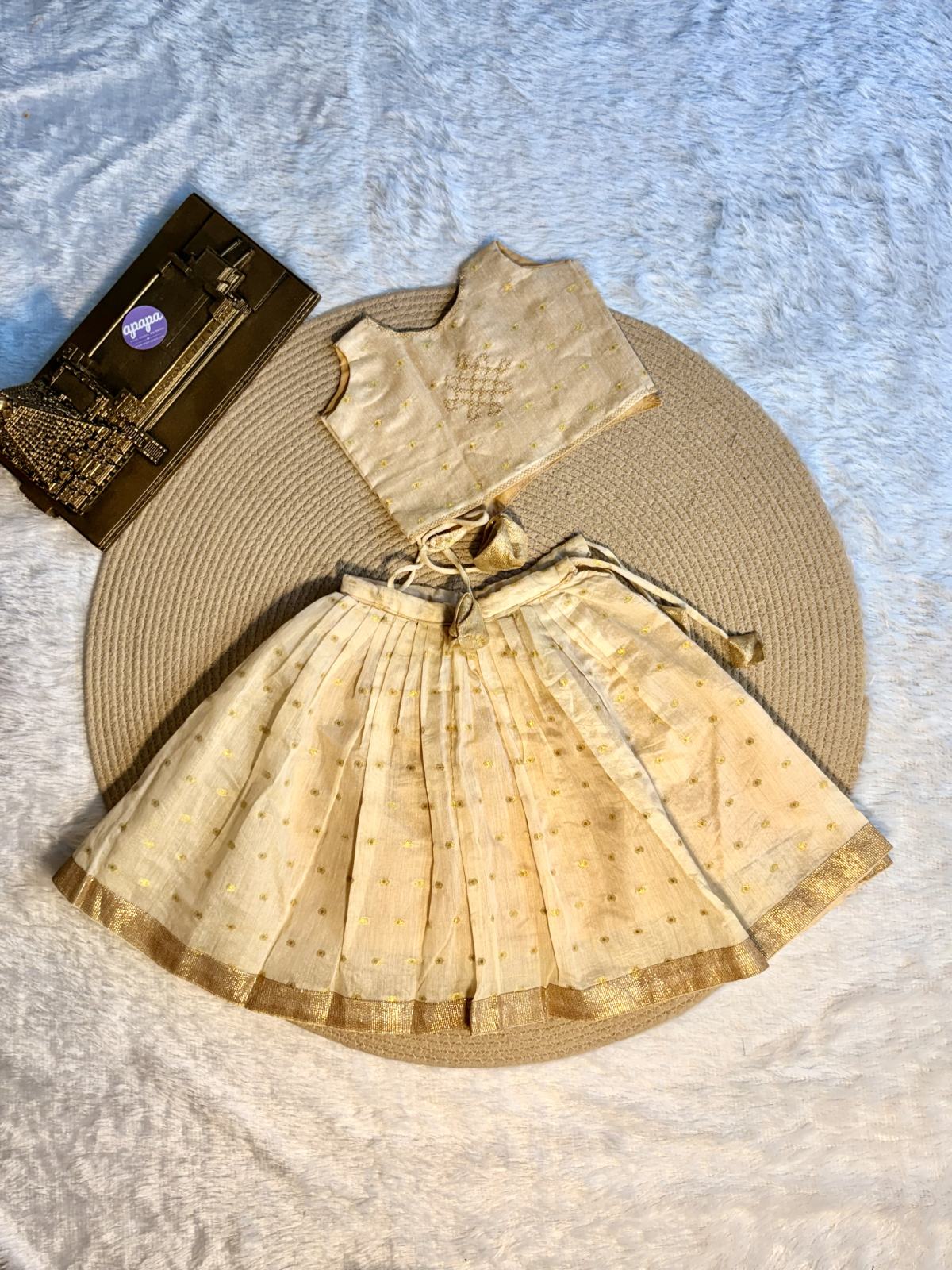 Golden Beige Embroidered Lehanga photo 8