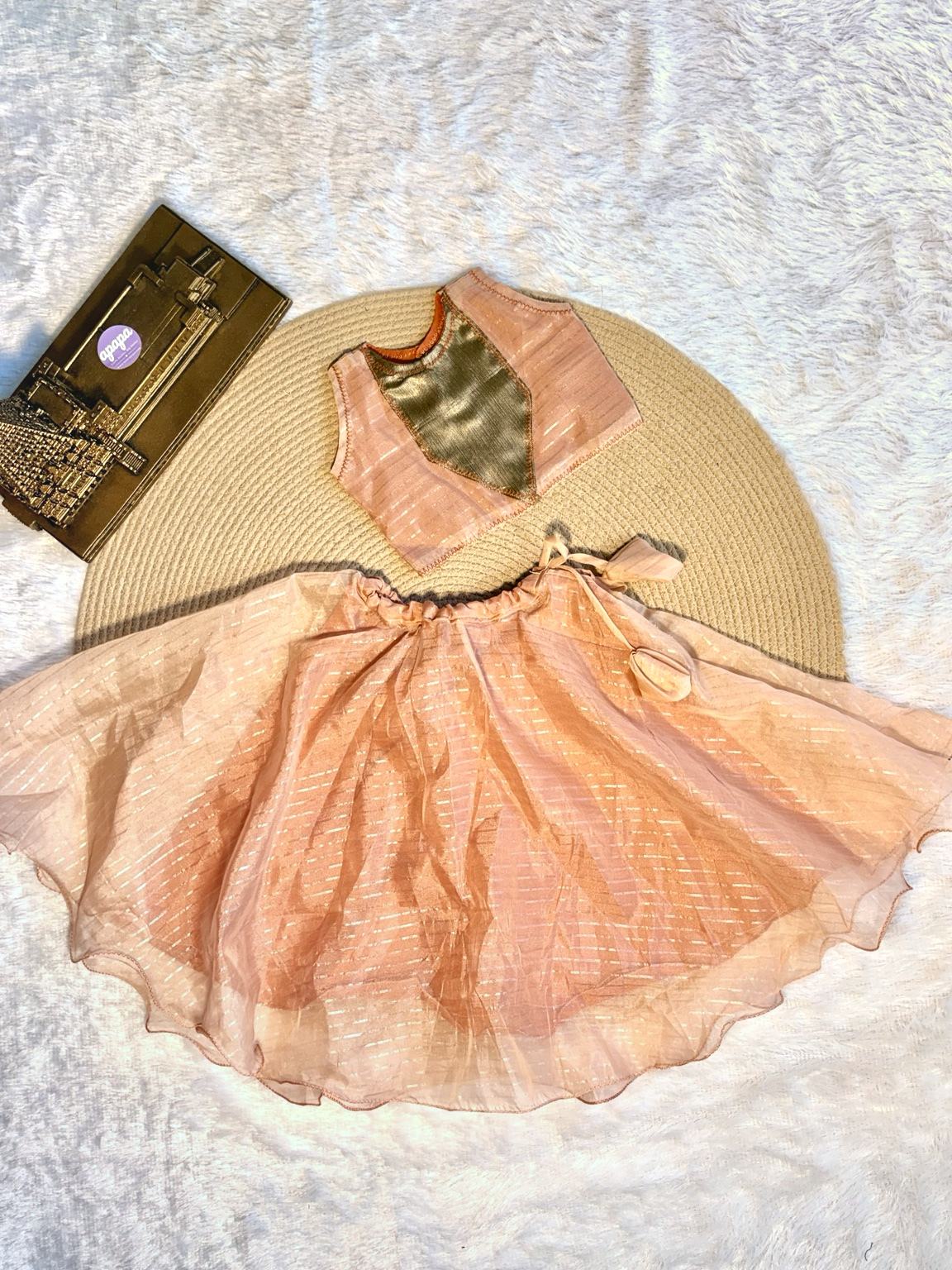 Rust Copper Organza Lehanga